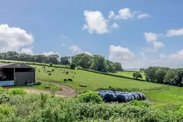 Mökkimajoitus Downside