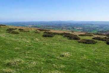 Dom wiejski Harris House