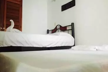 Bananas Hostel