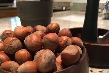 فندق Coast Cabins