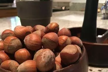 Hotelli Coast Cabins