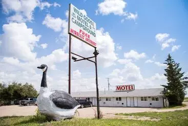 Wild Goose Motel And Campground