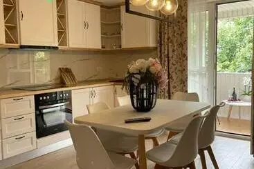 Apartamenty turystyczne Chic Studio Maramures