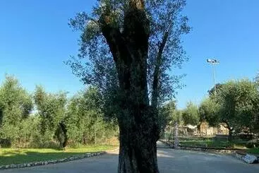 Turistihuoneistot Casa Vacanze La Selva