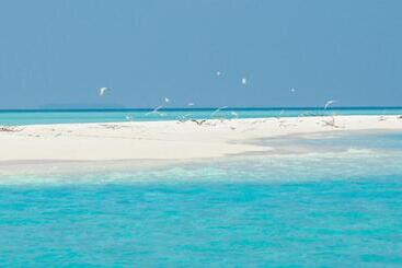 پانسیون Unwind Dhigurah