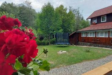 游客公寓 La Cabana Bunicului