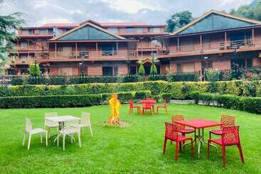 膳宿费 The Dafodil   A Boutique