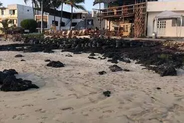 پانسیون Hostal Las Gardenias