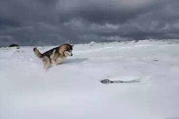 ホテル Restaurant L Oree Du Vercors