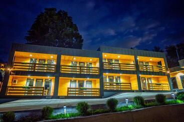 Bed and Breakfast Casa Izvorul Negru Moisei