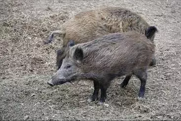 Turistihuoneistot The House To Stay For Holidays