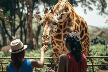 Somerset Westview Nairobi