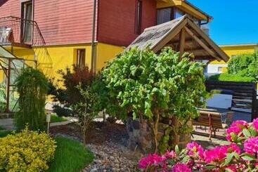 پانسیون Drugys 2