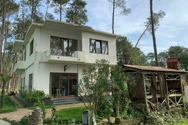 ペンション Mayak Shekvetili