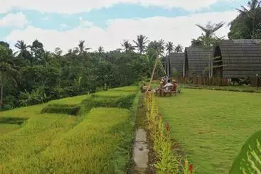 Majatalo Omah Bapak Ijen Eco House