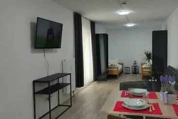 ツーリストアパートメント 2 Zimmerwohnung In Bietingen