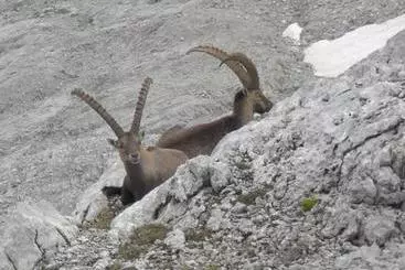 コテージ Bio Und Bergbauernhof Saller