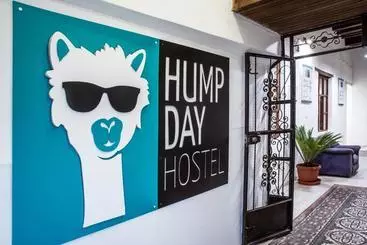 Hump Day Hostel
