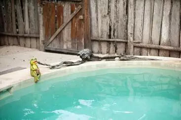 アパートホテル Buena Onda Residence