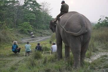 استراحتگاه Tiger Tops Tharu Lodge