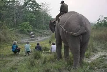 استراحتگاه Tiger Tops Tharu Lodge