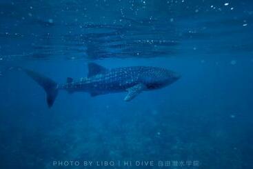 هتل Sunrise By White Sand Dhigurah