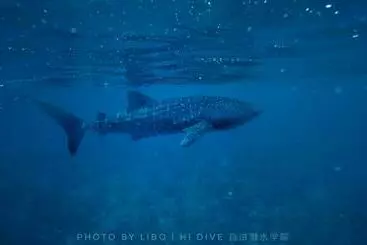 هتل Sunrise By White Sand Dhigurah