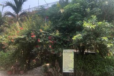 Pensió Tara Guesthouse Sauraha,chitwan