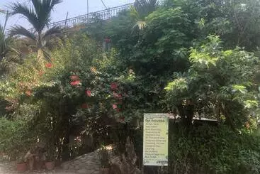 Pension  Tara Guesthouse   Sauraha,chitwan