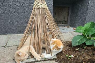 بيت ريفى Lutzmannhof