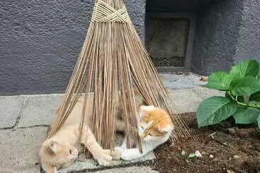 بيت ريفى Lutzmannhof