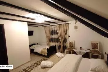 Pensiunea Casa Andreea Bârsana Maramureș