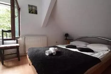 Pensão Popas Balea Rau