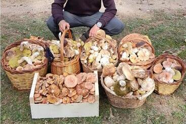 游客公寓 Aixopluc Apartamento Centro Rio Ritort