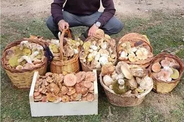 Turistlejligheder Aixopluc Apartamento Centro Rio Ritort