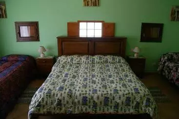 Triolivo B&b
