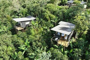 Hotel La Palma Y El Tucán   Café Y Naturaleza