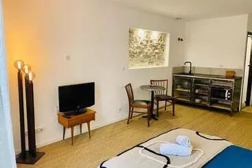Appartamenti turistici Coquet Studio En Coeur De Ville Avec Wifi Et Clim
