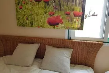 Pensão Poppies Living 100m Ocean!
