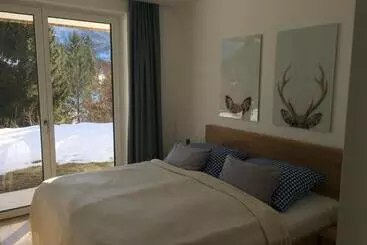 ツーリストアパートメント Exklusive Ferienwohnung Am Prielerweg In Hinterstoder