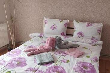 פנסיון карпати котедж анастасія