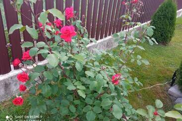 تختخواب و صبحانه Casa Luca