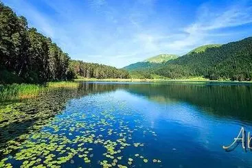Bolu Evim Otel