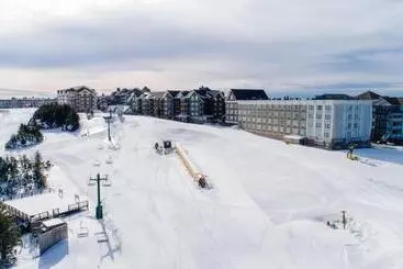 アパートホテル Stroll To Slopes, Village Area, Ski In Out Mtlodge 294