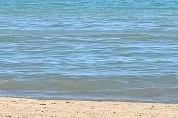 آپارتمان‌های توریست‌ها Adream