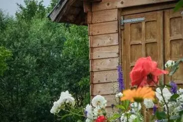 Bed & Breakfast Pensiunea Ileana Adults Only