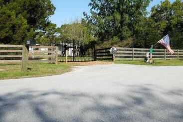 Pensjonat Room In Bb   Pleasant Days Bb Southwest Cottage