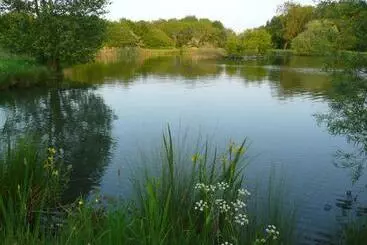 ベッドアンドブレックファースト The Grange