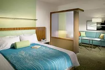 Отель Springhill Suites By Marriott Sumter