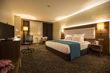 ホテル Teymur Continental